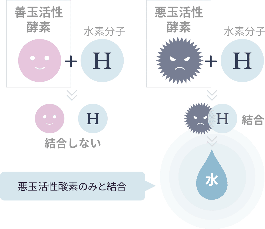 MECHANISM “サビ”のもと悪玉活性酸素を浄化する